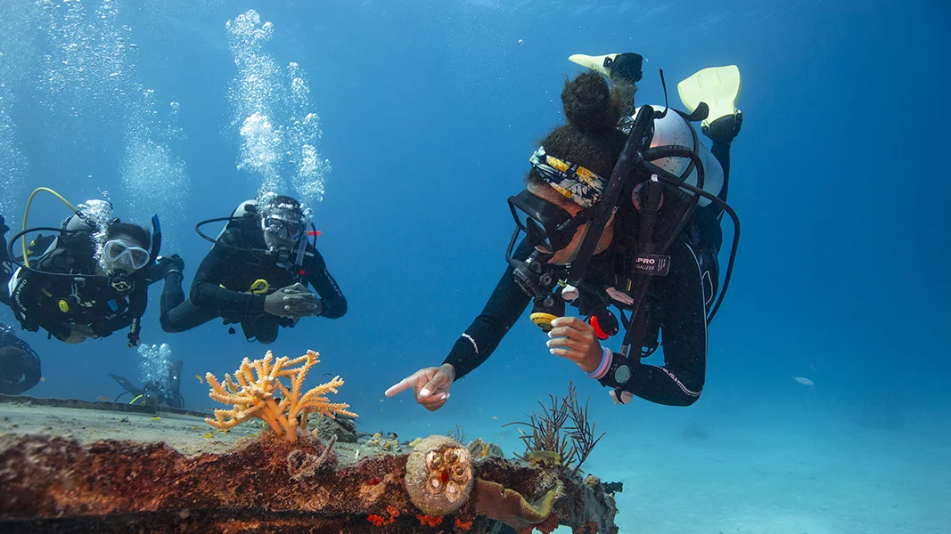 PADI Divemaster